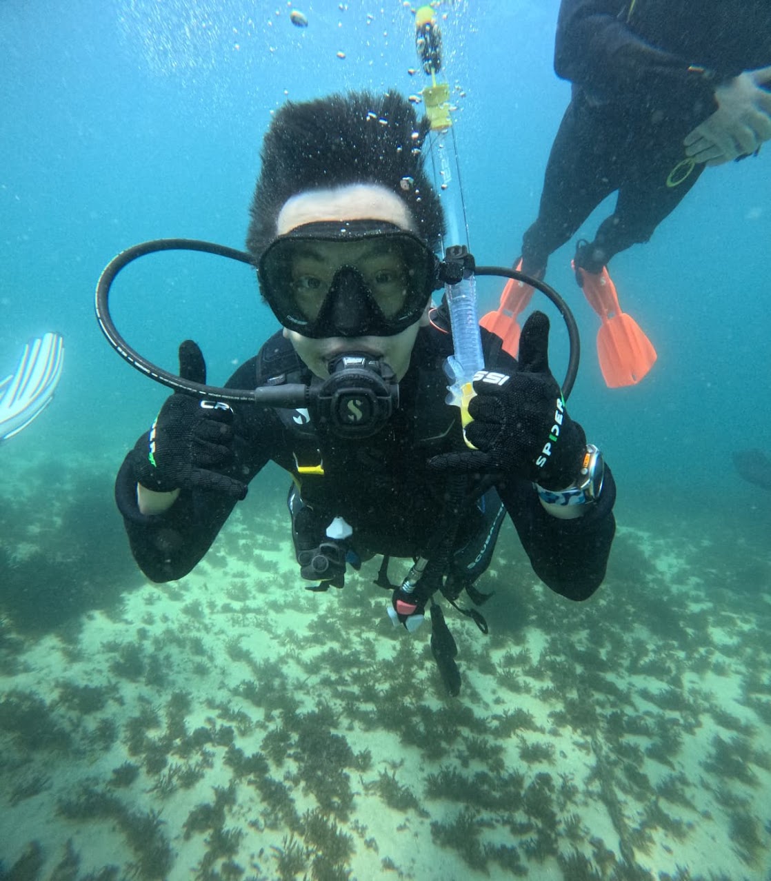 Scuba Diving